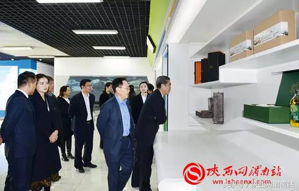 北京市朝陽區總部企業聯合會應邀赴陜西渭南進行商務考察(圖4)